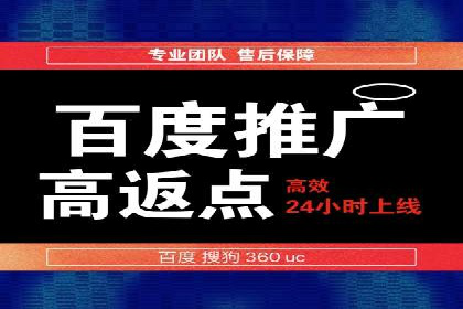百度竞价推广公司成功案例揭秘：广告投放的五大误区与对策